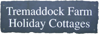 Tremaddock Logo
