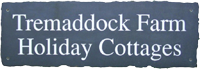 Tremaddock Logo